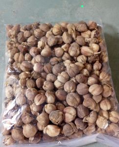 Cardamomo Blanco Orgánico Indonesio de Alta Calidad, Producto Agrícola Premium, Precios Competitivos, Proveedor Mayorista para Pedidos al por Mayor - Product Image 6