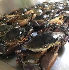 Cangrejos de Barro Enteros Frescos Congelados de Calidad Disponibles en Austria - Product Image 4