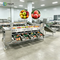 Automatisch Citrus Appel Peer Sorteersysteem Fruit- en Groente Sorteermachine