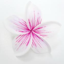 B06: วันวาเลนไทน์