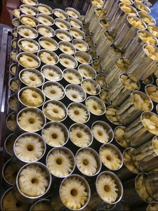 Ananas en conserve de haute qualité du Delta du Vietnam, tranché dans du sirop, très bon goût, 3 kg, durée de conservation de 1 à 1,5 an, Hazel - Product Image 4