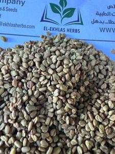 Nouvelle récolte de fenugrec de qualité supérieure égyptien pour épices et herbes séchées brutes Processus de séchage AD - Product Image 2