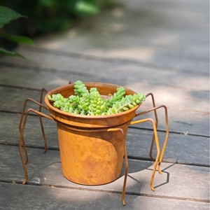 Supporto per Piante a Ragno in Metallo Rustico con Vaso, Portavaso Vintage in Ferro, Decorazione da <span class=keywords><strong>Giardino</strong></span> per Interni ed Esterni - Product Image 2