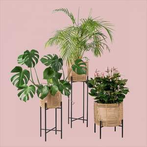 Macetas de red de ratán de hierro hechas a mano, tamaño de diseño personalizado, macetas para interiores y exteriores, maceta decorativa con núcleo - Product Image 3