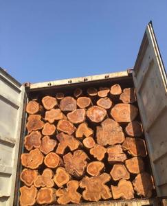 ไม้สักท่อนไม้สักพรีเมี่ยมแบบ Tectona Grandis (ประเทศไทย) - Product Image 6