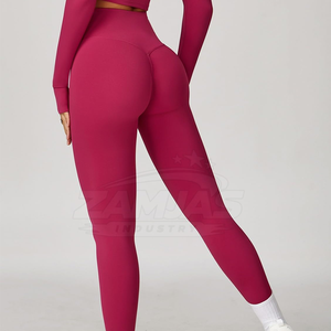 Comfortable High Manufacture Women Yoga Set Legging & Bra <b>Jacket</b> With Long Sleeve <b>Light</b> <b>Weight</b> Women Yoga Set - Product Image 5