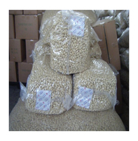 Produit de cacahuètes de qualité alimentaire séchées et grillées Cacahuètes blanchies biologiques en coquille