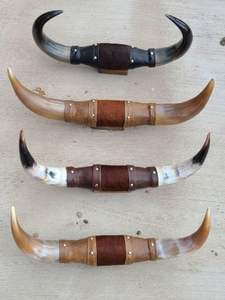 Paires de cornes de taureau polies, cornes de bœuf Longhorn, montées, nautiques, faites à la main, de haute qualité, pour décoration murale, décoration intérieure, agate - Product Image 6