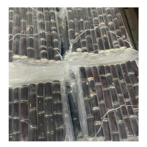 Canne à sucre congelée avec saveur douce et fraîche par 99GD Viet Nam Canne à sucre congelée prête à être expédiée, parfaite pour les besoins en jus et en exportation - Product Image 2