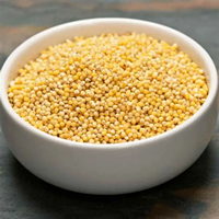 VENTE EN GROS DES GRAINS DE MILLET PUR PROPRE NUTRITIF DES CÉRÉALES DE QUALITÉ D'EXPORTATION EN VRAC