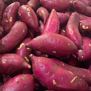 Patate douce surgelée IQF, couleur naturelle, prête à cuire, origine Vietnam - Product Image 1