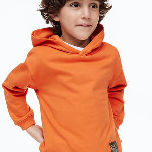 Alta calidad por encargo 100% algodón Patchwork Sudadera con capucha Puff impresión diseño pulóver estilo para bebés al por mayor - Product Image 1