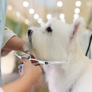 Tijeras Profesionales para Peluquería Canina y Felina SCORPION BLADE de Acero Inoxidable, Instrumento Veterinario con Certificación CE - Product Image 6