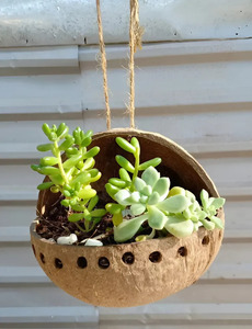 Maceta redonda de cáscara de coco: diseño clásico, decoración de jardín natural ecológica, cultivo natural VIET FARGIMEX - Product Image 5