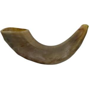 Shofar Auténtico de Cuerno de Búfalo Metálico, Hecho a Mano para Uso en la Cocina, Reuniones Espirituales y Festivales - Product Image 4