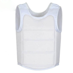 Protège-poitrine de karaté rembourré pour l'entraînement aux arts martiaux, protection de la poitrine absorbant les chocs pour le karaté - Product Image 1