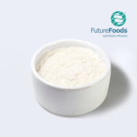 Extrait d'herbes sauvages en poudre de vinaigre de cidre de pomme Future Foods Chine