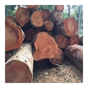 ไม้บูบิงกาทนทาน ดีไซน์ทันสมัย รับประกัน 1 ปี เหมาะสำหรับใช้ในอพาร์ทเมนต์ ขายส่งเพื่อการส่งออก สำหรับผู้สร้างอาคาร ผู้ผลิตเฟอร์นิเจอร์ และงานตกแต่งภายใน - Product Image 1