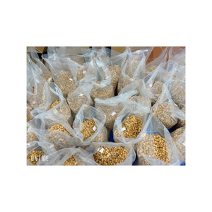 มะม่วงอบแห้งธรรมชาติ100เปอร์เซ็นต์เนื้อนุ่มอุดมไปด้วยวิตามินและเส้นใยที่สมบูรณ์แบบสำหรับการขายส่งและขายปลีก - Product Image 1