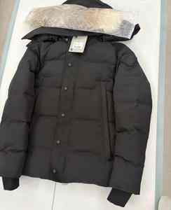 Veste d'hiver matelassée à capuche coupe-vent de style classique de haute qualité pour homme, fermeture éclair, style canadien, devant - Product Image 6