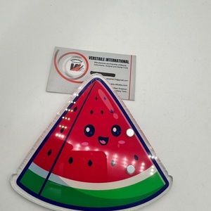 Nouveauté : plaque magnétique pour cils avec logo personnalisé, extensions de cils, triangle pastèque, carreaux en acier inoxydable, design floral diamant - Product Image 5