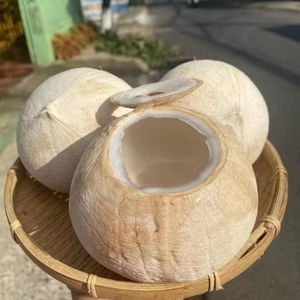 Coco fresco Premium vietnamita de fácil apertura con agua dulce natural - Product Image 4