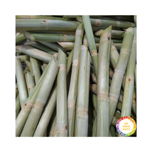 Las mejores frutas y verduras congeladas caña de azúcar orgánica IQF jugo de caña de azúcar congelado mejor vendedor de Vietnam precio barato - Product Image 1