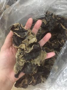 เวียดนามแห้งเห็ดสีดำเชื้อรา/แห้งทั้งรูปร่างสีดำเชื้อรา/ไม้หูเห็ดจากเวียดนามโรงงาน - Product Image 4