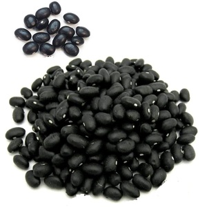 New Crop BRAZIL Black <b>Kidney</b> <b>Beans</b> | Mexican Black <b>Beans</b> - Product Image 2
