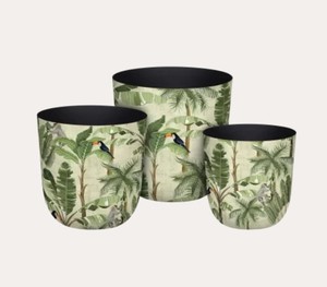 กระถางดอกไม้เหล็ก ราคาแท้คุณภาพดี - Product Image 2