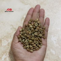 Yeşil kahve çekirdekleri Robusta S16 gelen Buon Me Thuot Vietnam yüksek kaliteli ham kahve işleme bal yıkanmış satılık