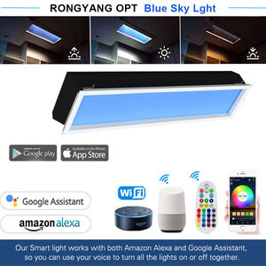 Panneau de puits de lumière LED <span class=keywords><strong>Coelux</strong></span> Lumière artificielle intérieure pour salon Hôtel Bureau Chambre à coucher - Product Image 4