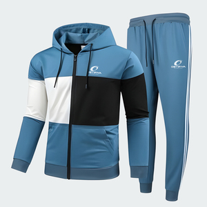 Chándal Deportivo de Invierno para Hombre, con Capucha, Transpirable, Ligero, de Poliéster/Algodón, Color Sólido, Alta Calidad, Estilo Hip Hop, Venta al Por Mayor - Product Image 1