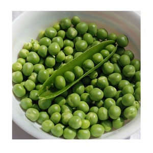 Guisantes Verdes Enlatados Compra al por Mayor |   Proveedor de Vegetales Enlatados - Product Image 5