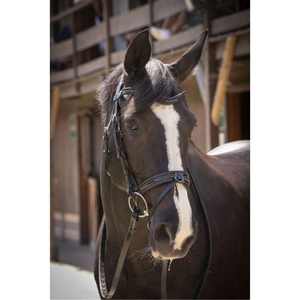 Brida de entrenamiento de brida Trabajo de alta calidad Caballo Snaffle Brida de cuero Fabricante de bridas Caballo de alta calidad Snaffle - Product Image 1