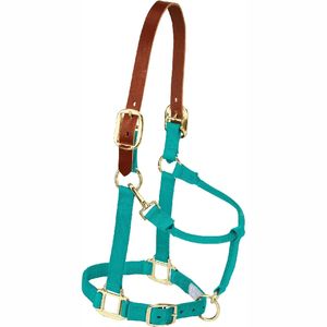 Nouveau 2025 Halters de cheval sur mesure Halter de haute qualité pour chevaux - Product Image 5