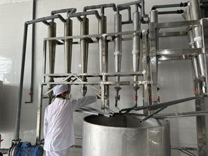 Almidón de Maíz en Escamas al por Mayor - Almidón de Maíz TOP N.° 1, Económico y al Mejor Precio - Product Image 6