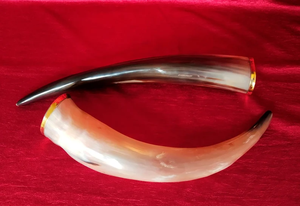 Corne à boire Viking de qualité exportée à bas prix Cornes à boire médiévales Vache et boeuf Corne à boire Viking par l'artisanat en croissant - Product Image 6