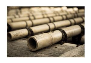 Bastón de bambú natural seco y recto bastones de bambú para la construcción con suministro de gran tamaño a granel de Vietnam - Product Image 4