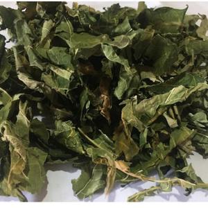 ใบมะละกอแห้งบริสุทธิ์ | เกรดอาหารเสริมสมุนไพร | ขายส่งจากอินเดีย - Product Image 5