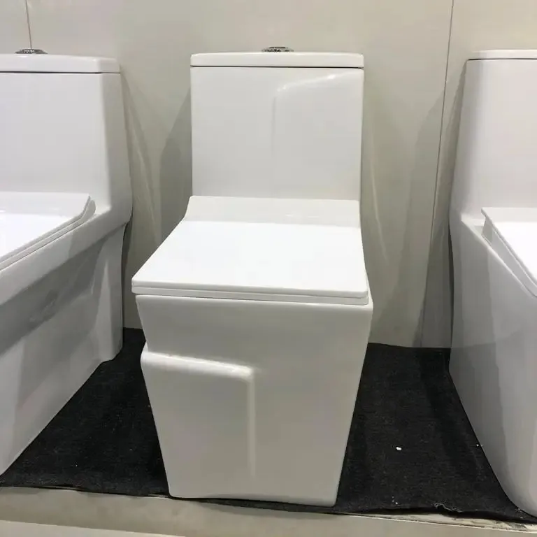 Kualitas Premium Toilet Wc satu potong dengan Dual Flushing System P trap & S trap Soft Close Seat Cover oleh pemasok India