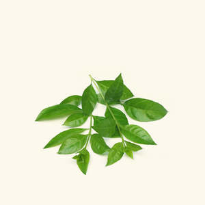 Huile essentielle de henné biologique pour cheveux secs infusée à l'huile de noix de coco - Product Image 1