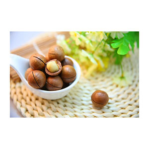 Nueces de macadamia, suministro a granel al por mayor, precio de descuento, nueces frescas y de primera calidad - Product Image 6