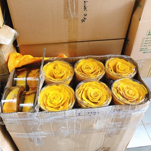 100% naturel doux mangue séchée sans conservateur du Vietnam - Product Image 3