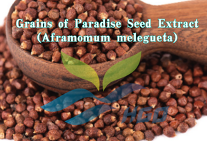 Extracto de Semillas de Grano del Paraíso (Aframomum melegueta) HGO Direct Supply, 12.5% 6-Paradol CAS 27113-22-0 5-Deoxi-6-Gingerol - Product Image 2
