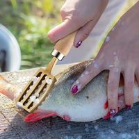 Raboteuse à écailles de poisson en laiton enlever le grattoir à écailles de poisson manche en bois massif grattoir à écailles de poisson emballage commercial