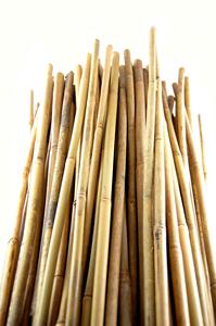 Poteaux de bambou en gros Vietnam pour l'utilisation de l'agriculture avec naturel de haute qualité de Eco2go Vietnam - Product Image 2