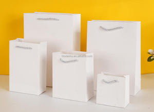 Commercio all'ingrosso del regalo del sacchetto del regalo della Cina del sacchetto di carta stampata di acquisto della porcellana uso per le scarpe di vestiti - Product Image 5