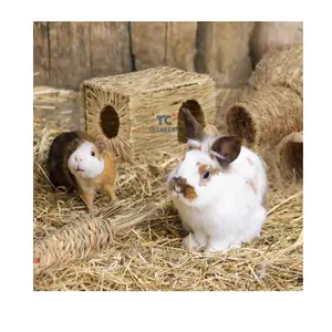 Rabbit Toys Guinea Pig Chew Toy Grass Ball Made of Natural Timothy Hay Rabbit Dental Timothy Grass Rabbit Chew Toy Hand-made