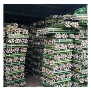 Poteau en bambou poli pour l'aménagement paysager agriculture et utilisation de meubles meilleur prix du Vietnam - Product Image 5